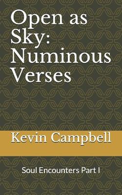 Book cover for Open as Sky
