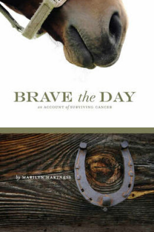 Cover of Brave the Day