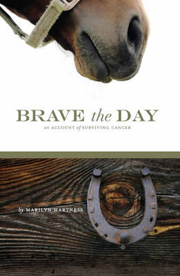 Book cover for Brave the Day