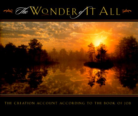 Book cover for The Wonder of It All