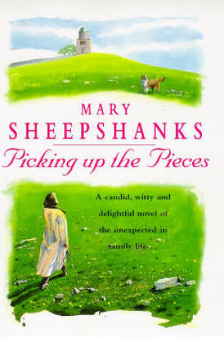 Cover of Picking Up the Pieces