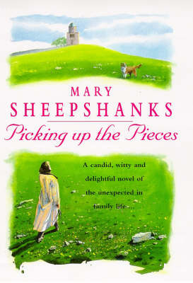 Cover of Picking Up the Pieces