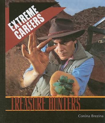 Cover of Treasure Hunters