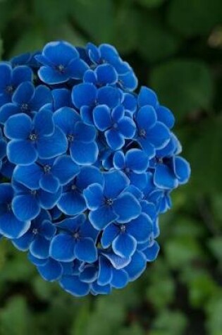 Cover of Brilliant Royal Blue Hydrangea Flowers Journal