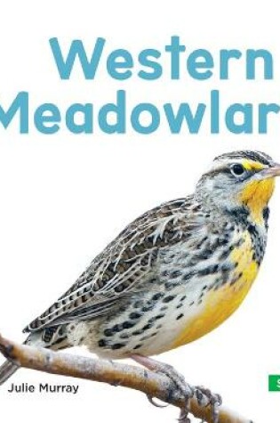 Cover of Western Meadowlarks
