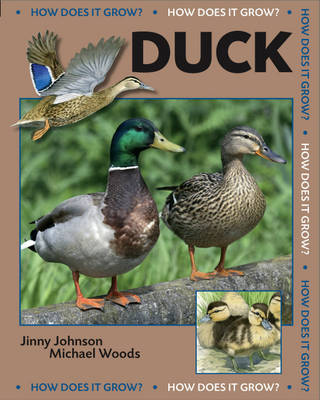 Book cover for Duck