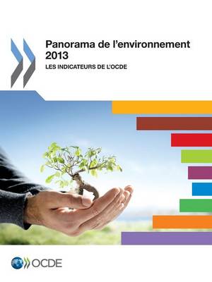 Book cover for Panorama de l'environnement 2013