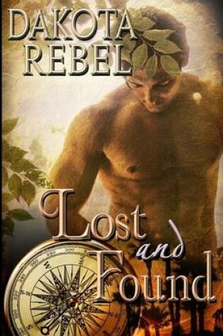 Cover of Lost and Found
