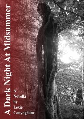 Book cover for A Dark Night at Midsummer