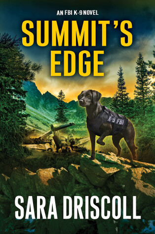 Book cover for Summit’s Edge