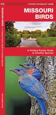 Book cover for Missouri Birds