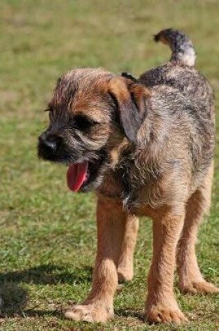 Cover of Border Terrier Dog in the Grass Journal