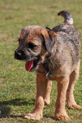 Book cover for Border Terrier Dog in the Grass Journal