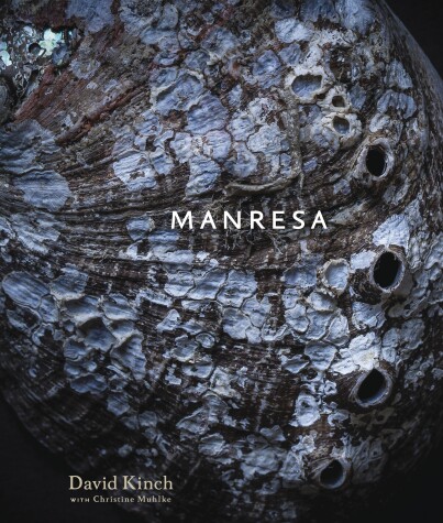 Book cover for Manresa