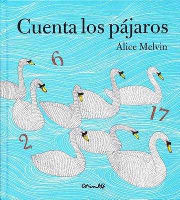 Book cover for Cuenta los Pajaros