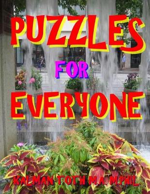 Book cover for Puzzles for Everyone