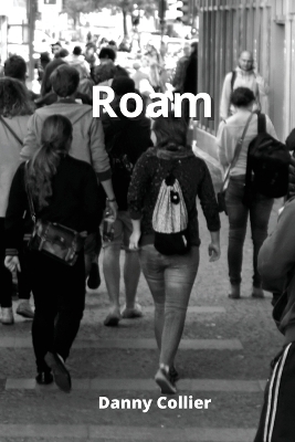 Book cover for Roam