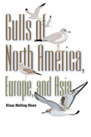 Cover of Gulls