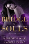 Book cover for Bridge of Souls
