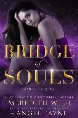Cover of Bridge of Souls
