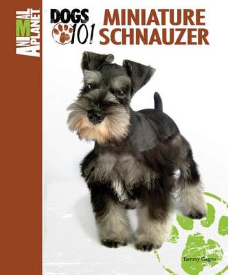 Book cover for Miniature Schnauzer