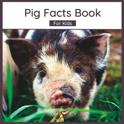 Book cover for Pig Facts Book