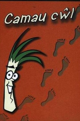 Cover of Camau Cŵl (CD-ROM)