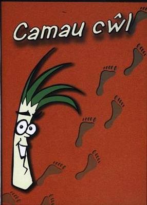 Book cover for Camau Cŵl (CD-ROM)