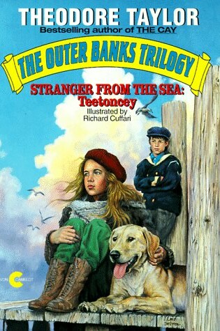 Cover of Stranger from the Sea