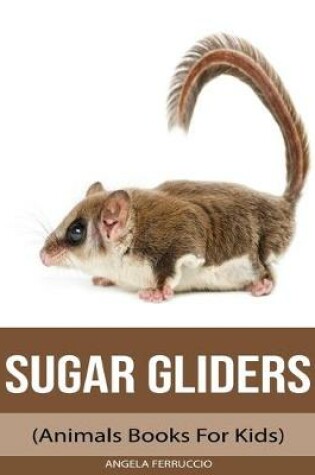 Cover of Sugar gliders (Animals Books For Kids)