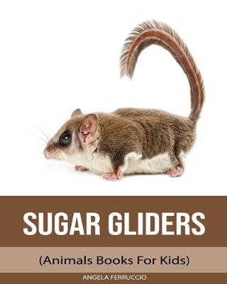 Book cover for Sugar gliders (Animals Books For Kids)