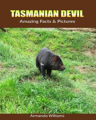 Book cover for Tasmanian Devil