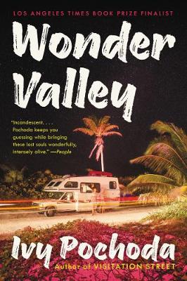 Book cover for Wonder Valley