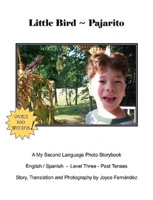 Book cover for Little Bird - Pajarito