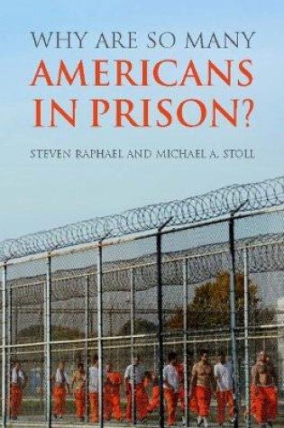 Cover of Why are So Many American in Prison?