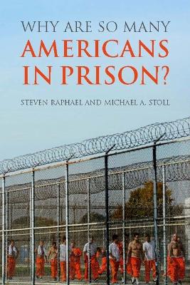 Book cover for Why are So Many American in Prison?