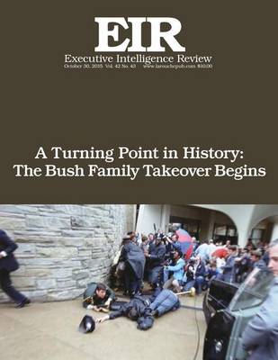 Book cover for A Turning Point In History