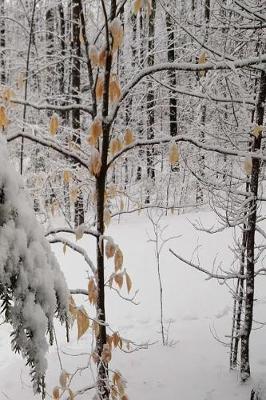 Cover of Winter Journal Scenic Snowy Woods