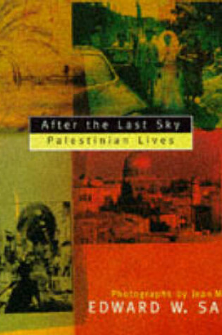 Cover of After the Last Sky