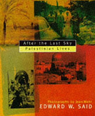 Book cover for After the Last Sky