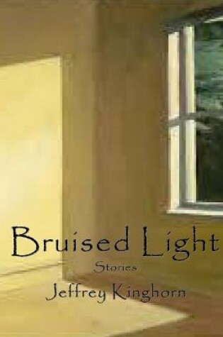 Cover of Bruised Light