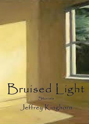 Book cover for Bruised Light