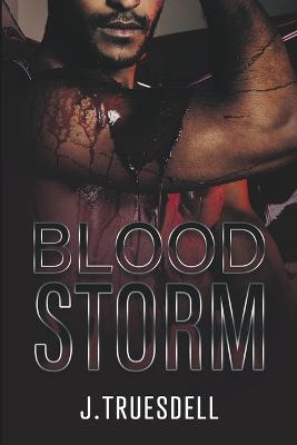 Book cover for BloodStorm