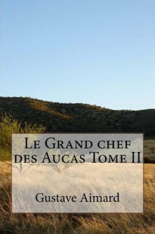 Cover of Le Grand chef des Aucas Tome II