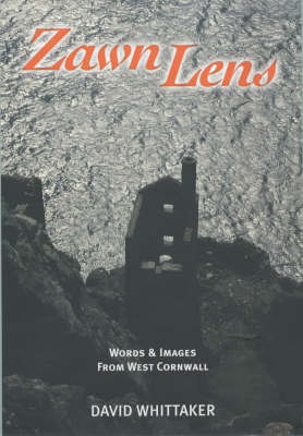 Book cover for Zawn Lens