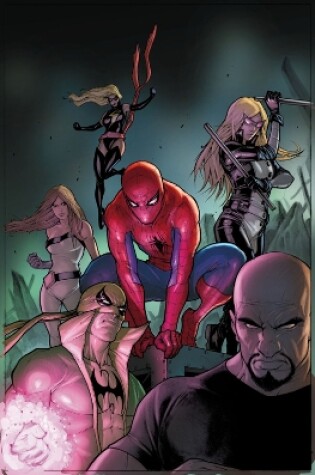 Cover of Spider-man: Matters Of Life And Death