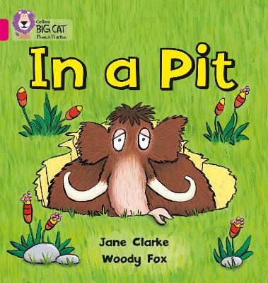 Book cover for In a Pit