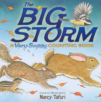 Book cover for The Big Storm