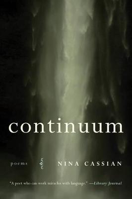 Book cover for Continuum