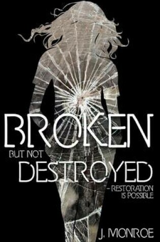 Cover of Broken But Not Destroyed